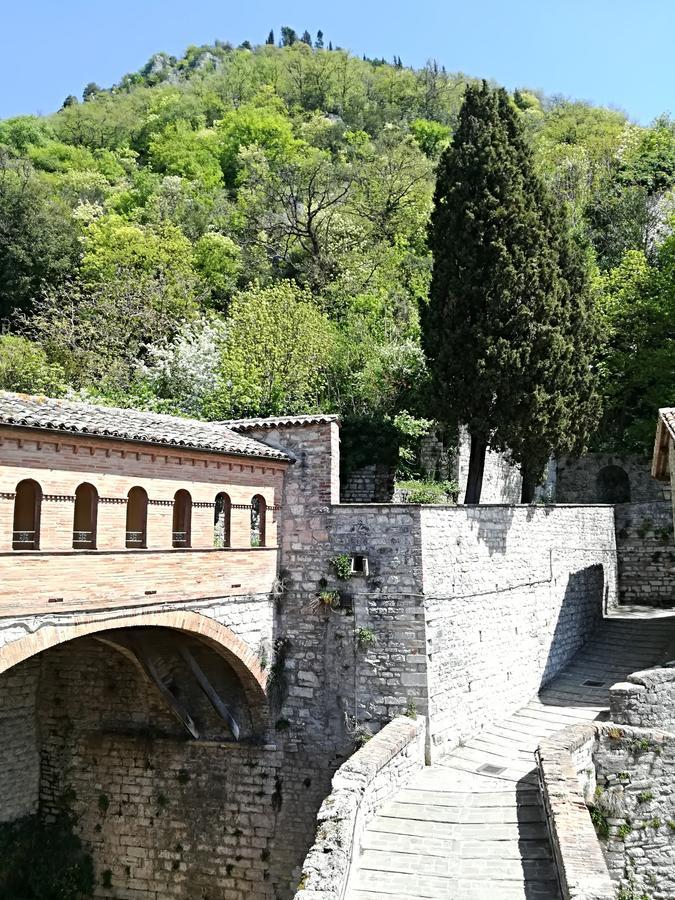 Civico 10 Ξενοδοχείο Γκούμπιο Εξωτερικό φωτογραφία